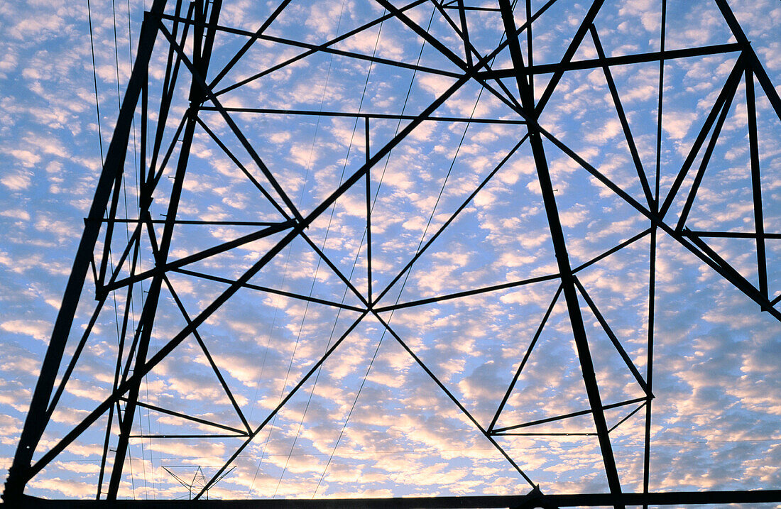 Sunrise powerlines