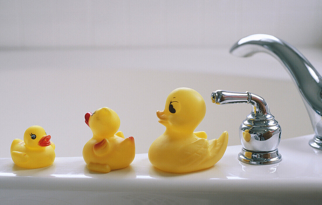 Ducks on bath
