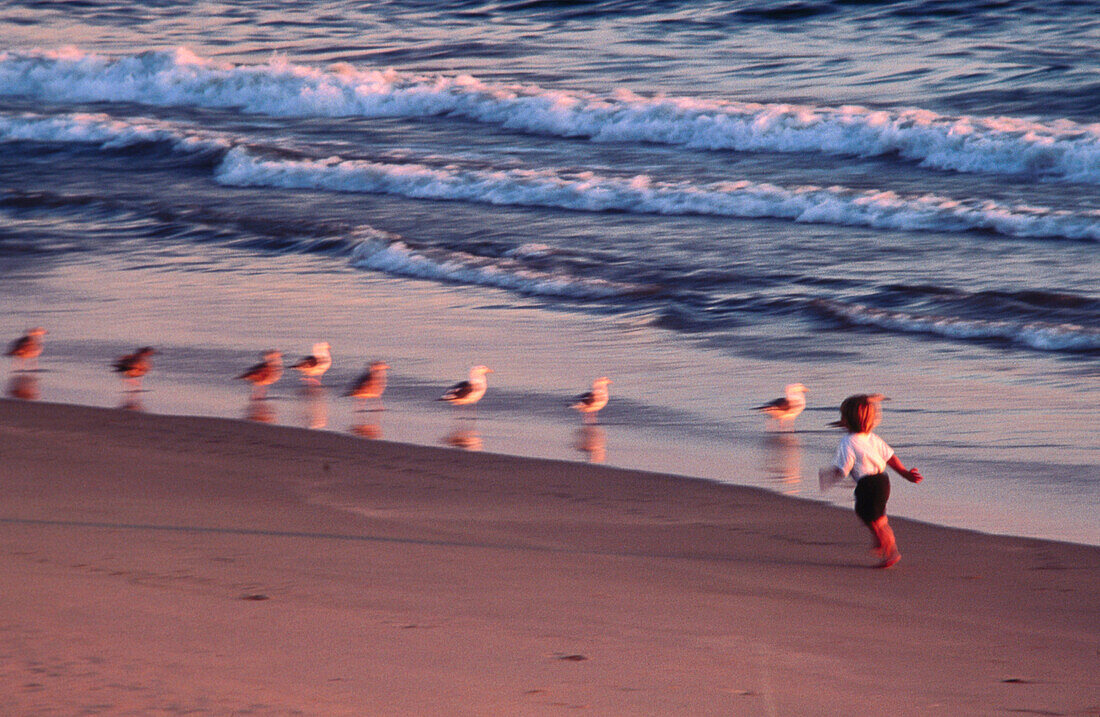 Young boy chasing seagulls