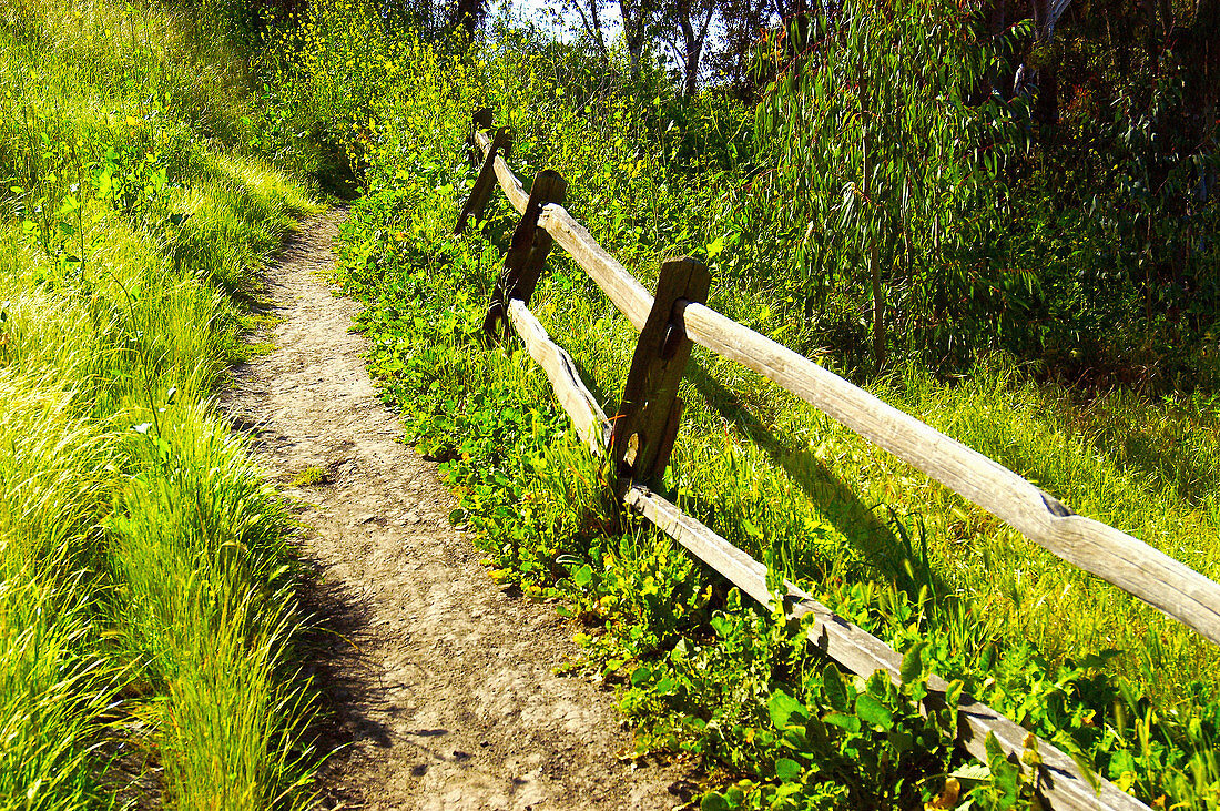 country path