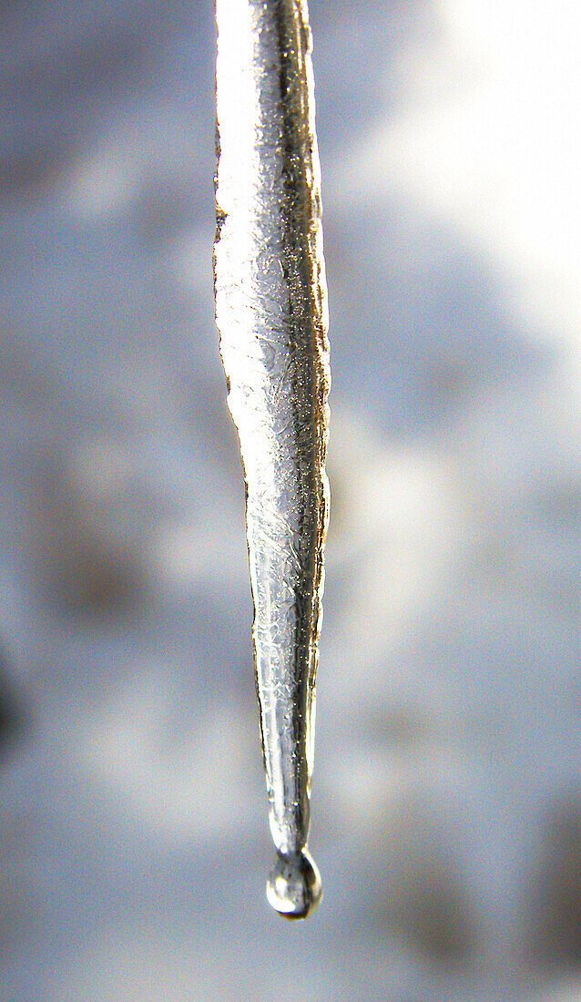 icicle drop