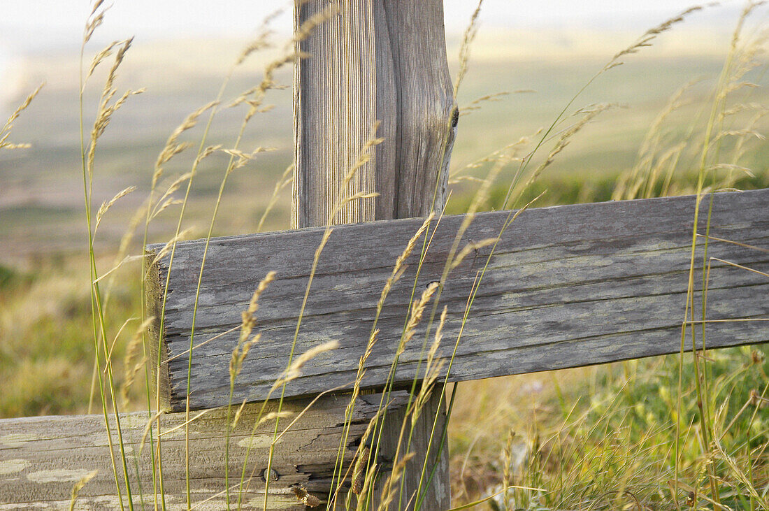 rustic fence post