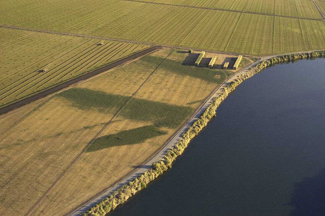 California farmland