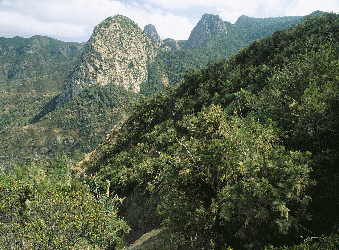 Los Roques in Garajonay National Park. La Gomera Island. Canary Islands, Spain