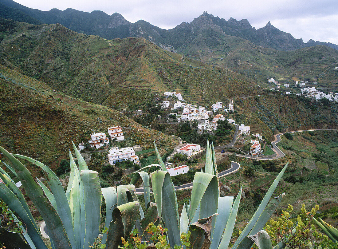Caserío de Taganana in Anaga range. Tenerife, Canary Islands, Spain