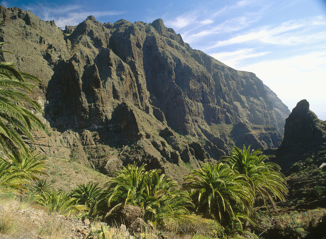 Masca Gorge in Tenerife. Canary Islands, Spain