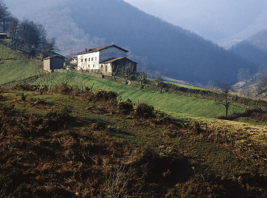 Valle del Baztan. Navarre. Spain