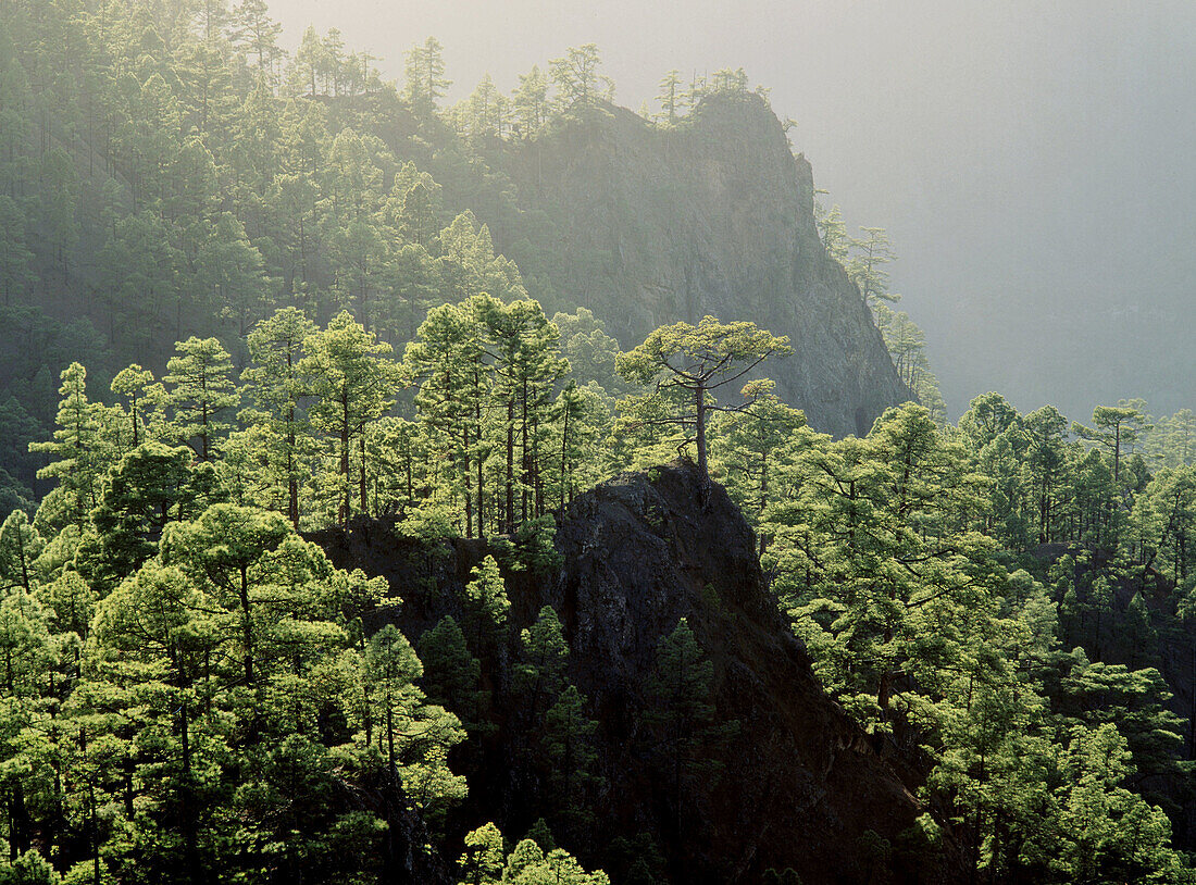 Caldera de Taburiente. La Palma Island. Canary Islands. Spain