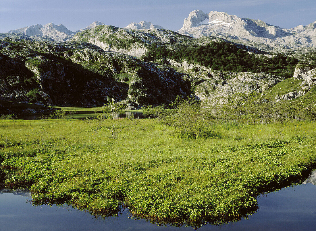 Ercina Lake. Covadonga National Park. Asturias. Spain