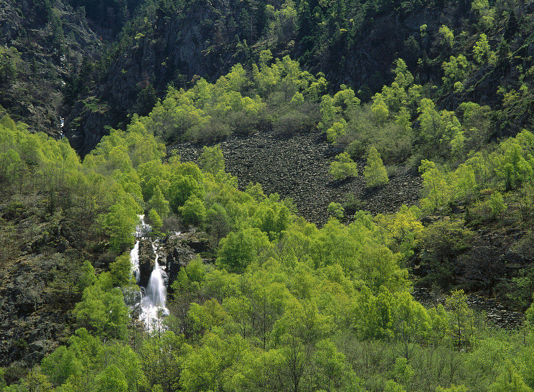 Tavascán, Cardós valley. Lleida province, Spain