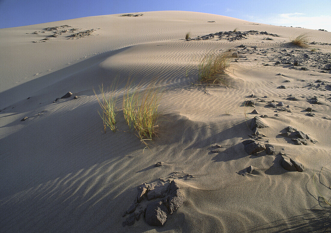 Dunes, Cabo de Gata. Almería province, Spain