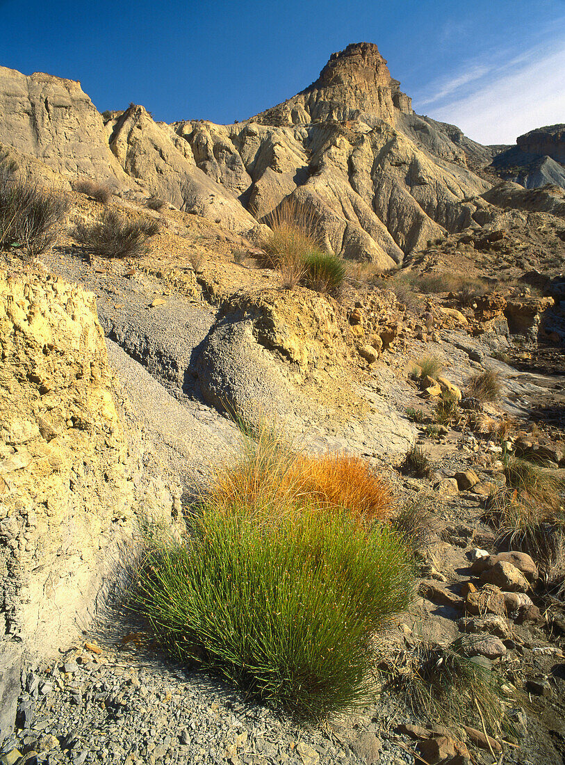 Tabernas desert in Almería province. Andalucia, Spain