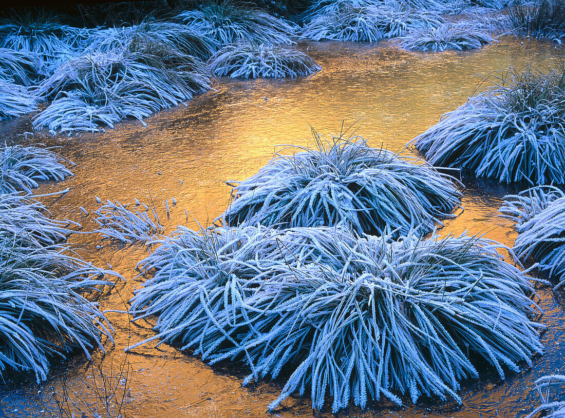 Frost. Las Médulas. León province, Spain