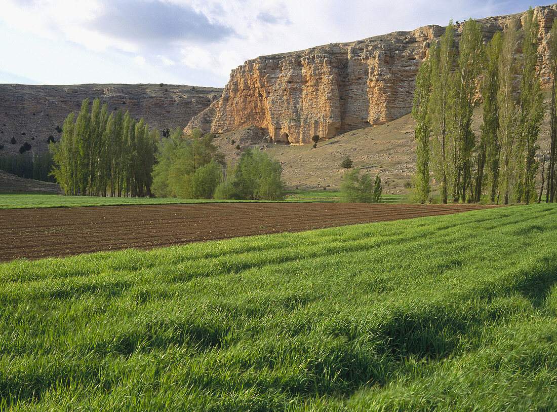 Hoces del Rio Riaza in Segovia province. Castilla-Leon, Spain