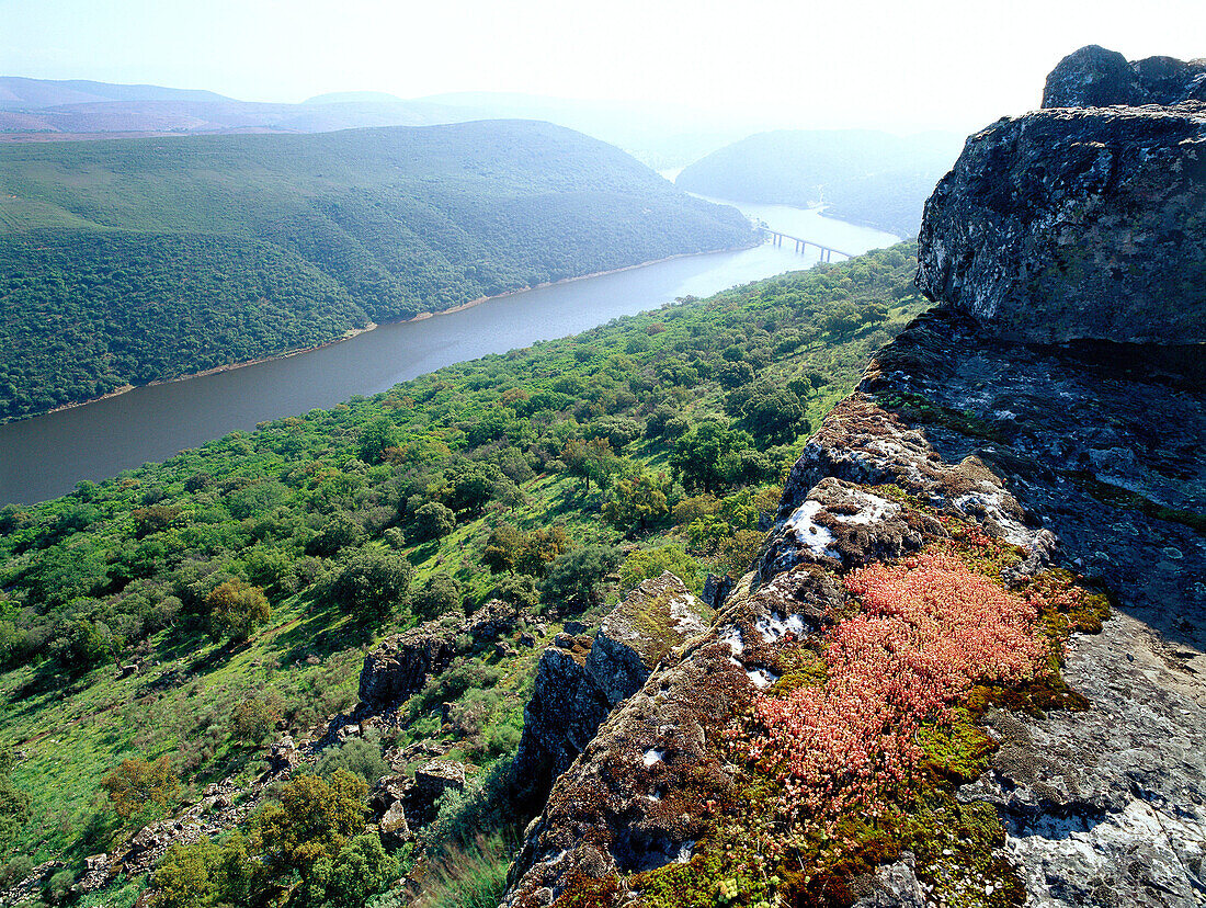 Tajo River in Monfrague Natural Park. Caceres province. Extremadura, Spain