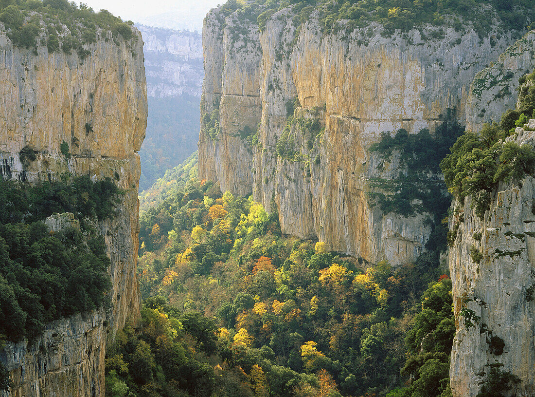 Foz de Arbayun, Salazar Valley. Navarre. Spain