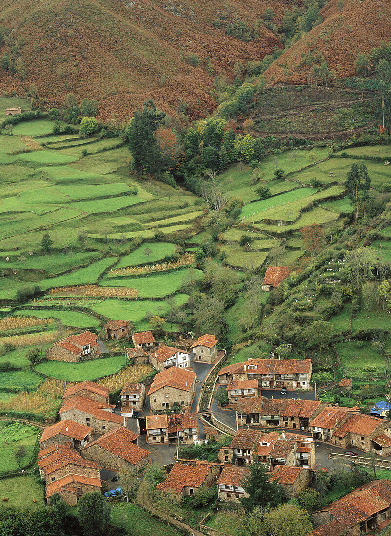 San Pedro. Carmona. Cabuerniga. Cantabria. Spain