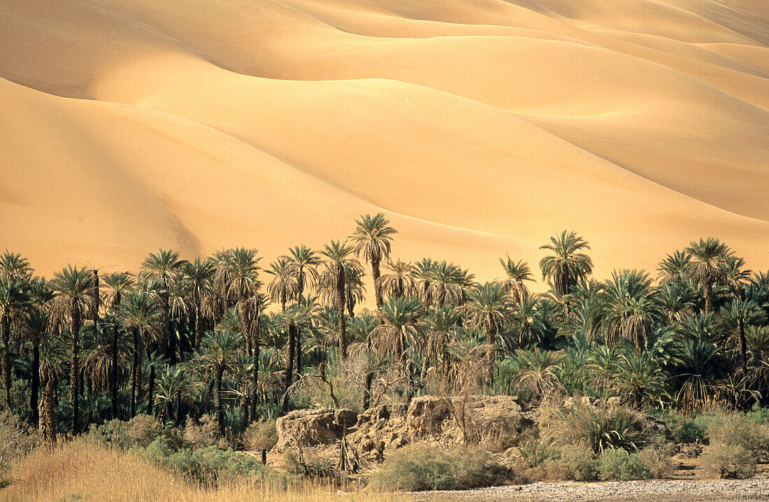 Mandala Lake. Dawada. Sahara Desert. Libya