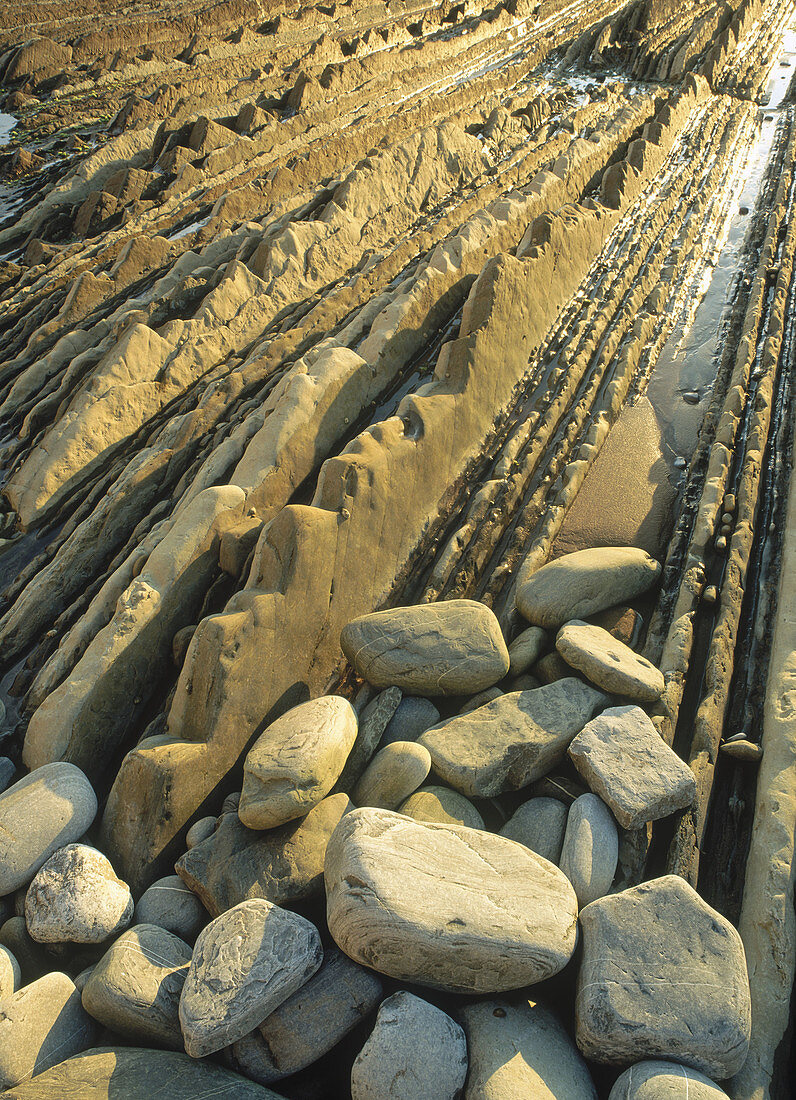 Coastal flysh rocks. Spain