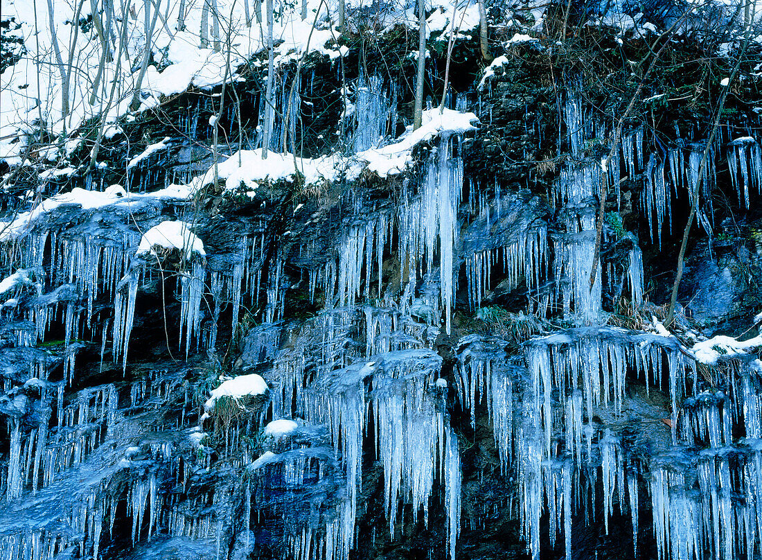  Aussen, Außen, Baum, Bäume, Detail, Details, Eis, Eiskalt, Eiszapfen, Farbe, Gefroren, Hintergrund, Hintergründe, Horizontal, Jahreszeit, Jahreszeiten, Kalt, Kälte, Natur, Schnee, Tageszeit, Verschneit, Wasser, Winter, Zweig, Zweige, F52-233204, agefotos