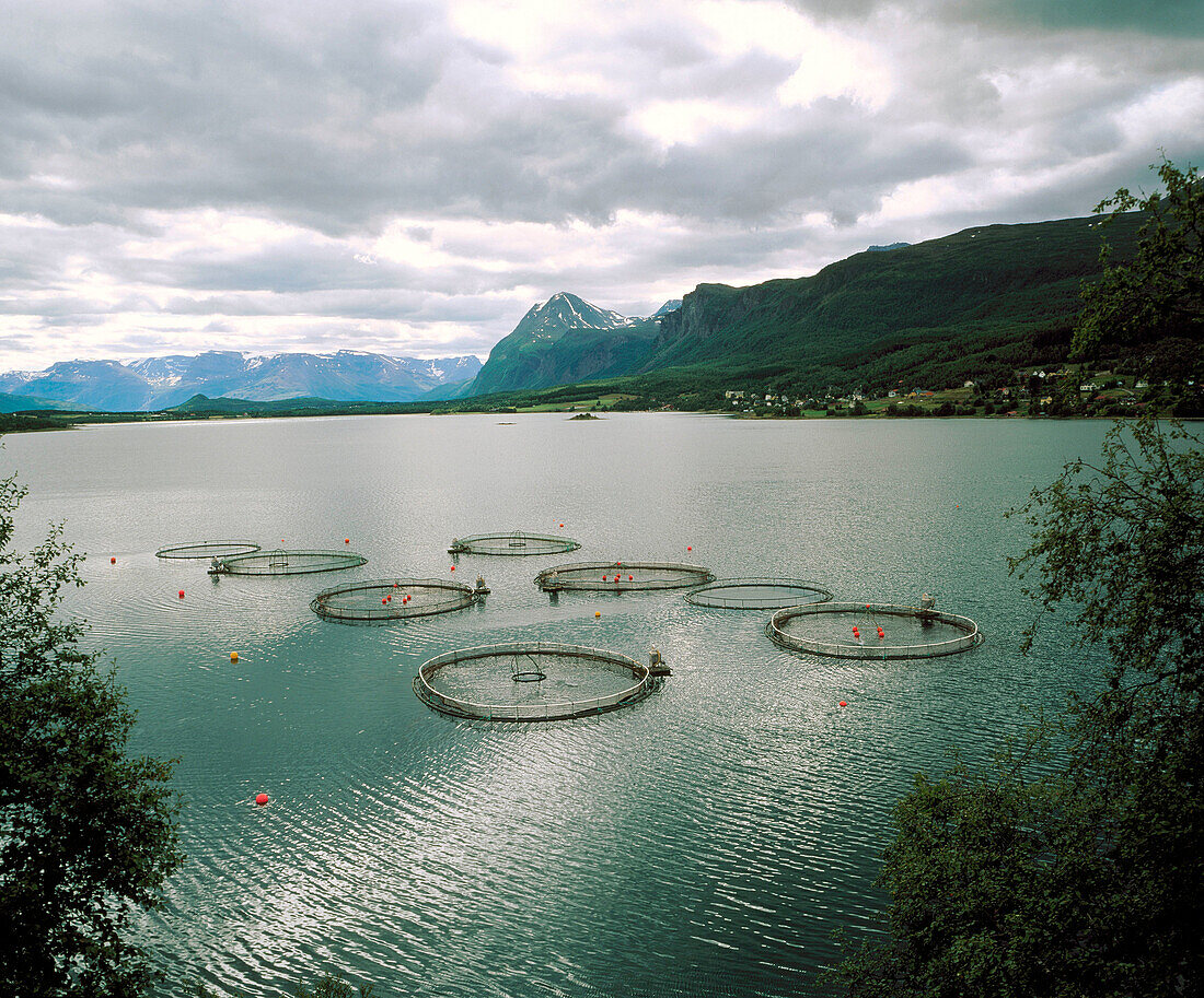 Salmon farming in Lyngseidet. Tromso. Norway