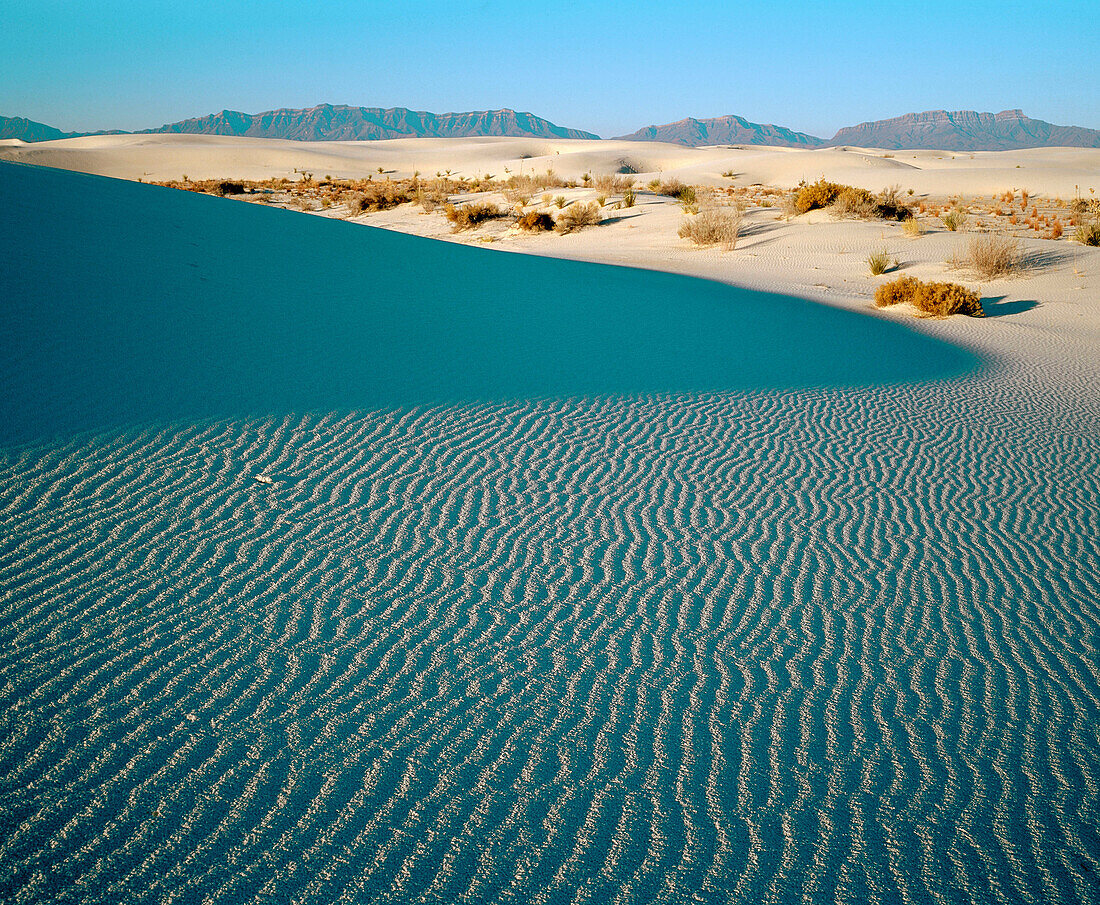 White Sands National Monument. New Mexico. USA