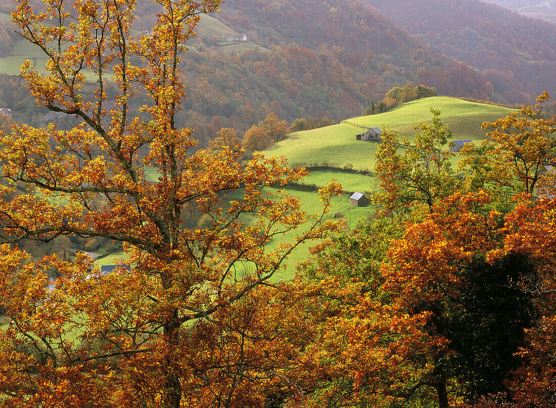 Saint Engrace in autumn. Zuberoa. French Basque Country. France