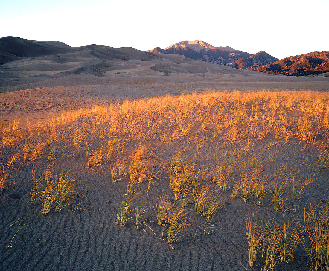 Great Sand Dunes National Monument. Colorado. USA