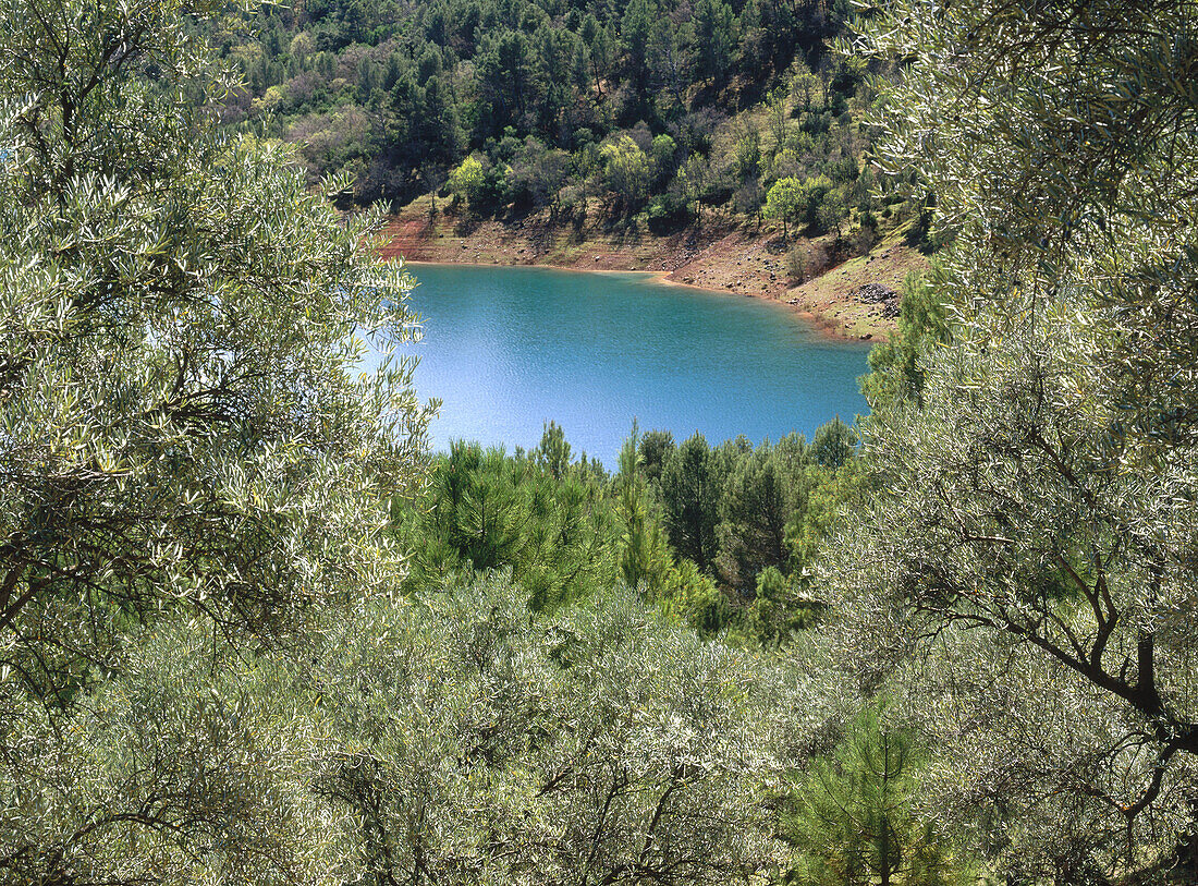 Tranco reservoir. Sierra de Cazorla. Jaén province, Spain