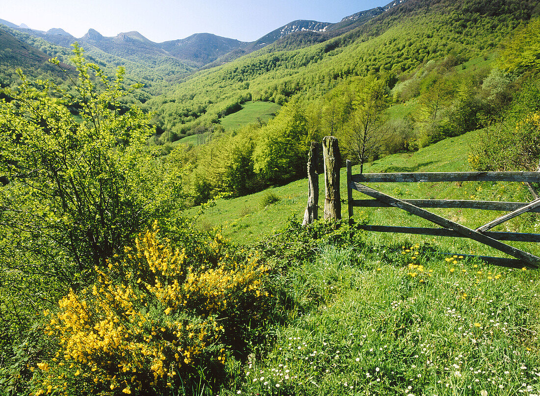 Spring. Ventana Pass. Teverga. Asturias. Spain.