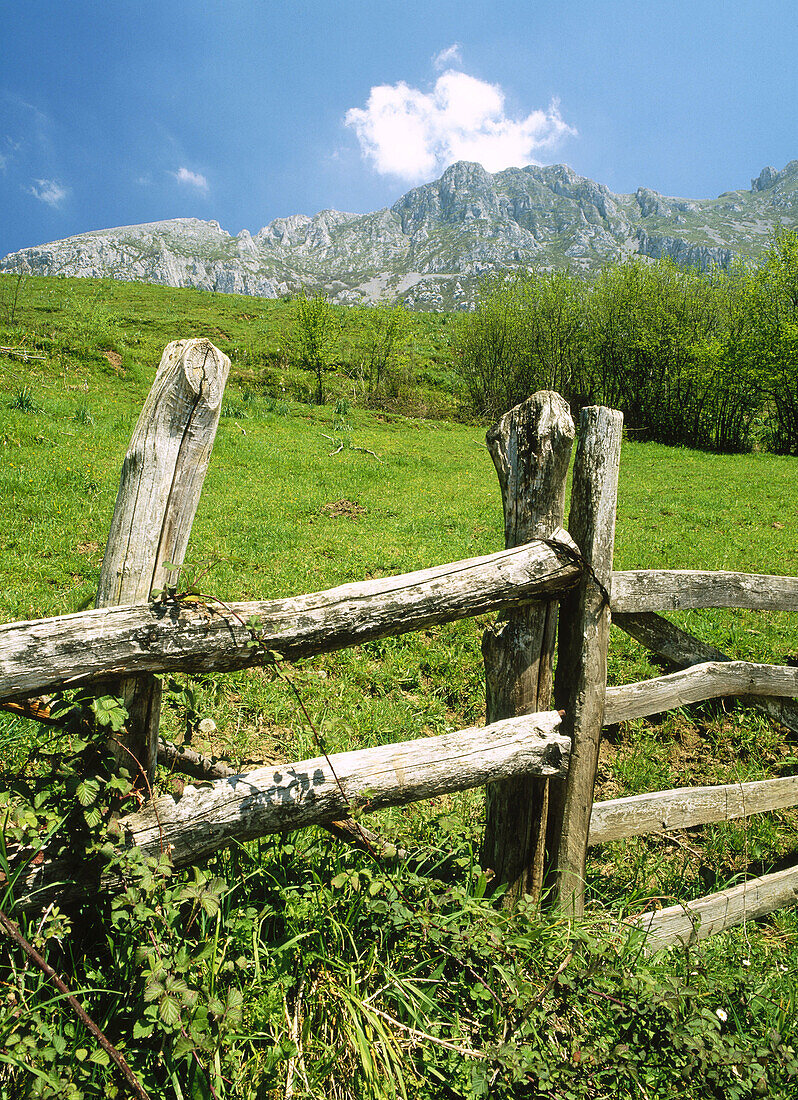 Bermiego. Sierra del Aramo. Quirós. Asturias. Spain.