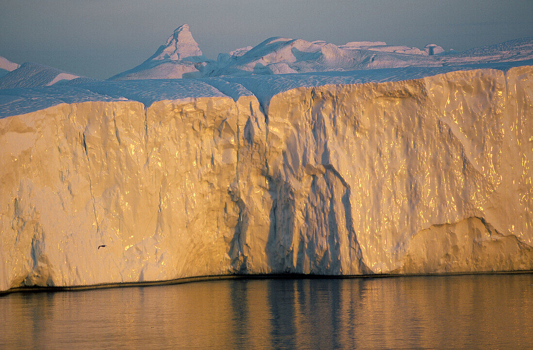 Icebergs on Icefjord. Diskobay at midnight sun. Greenland