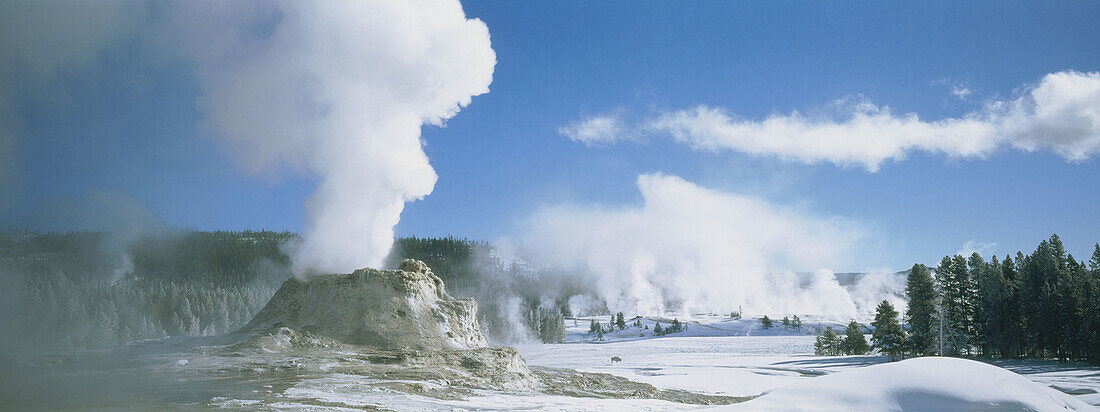 Castle geyser. Yellowstone National Park. USA.