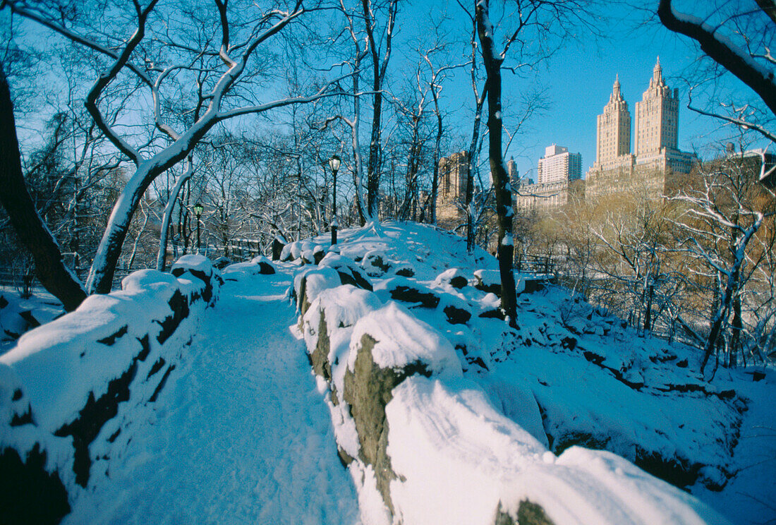 Central Park. New York City. USA