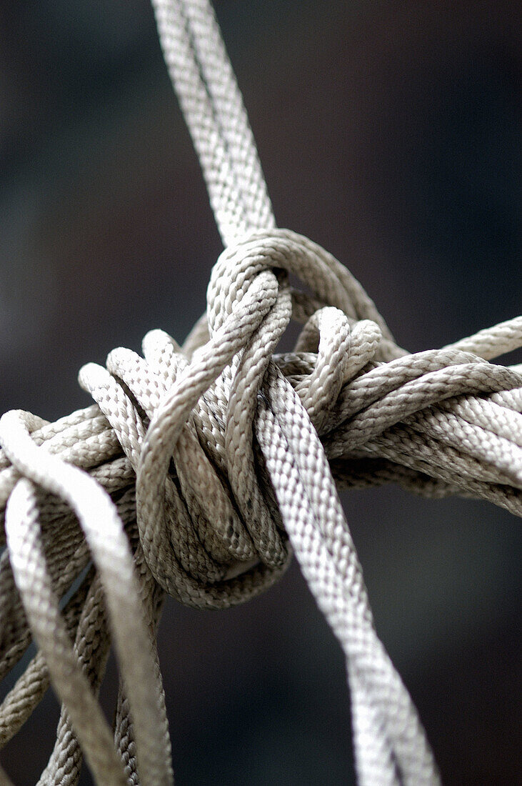  Close up, Close-up, Closeup, Color, Colour, Concept, Concepts, Detail, Details, Indoor, Indoors, Inside, Interior, Knot, Knots, Many, Object, Objects, Resistance, Rope, Ropes, Safety, Security, Thing, Things, Tied, Vertical, F58-245378, agefotostock 