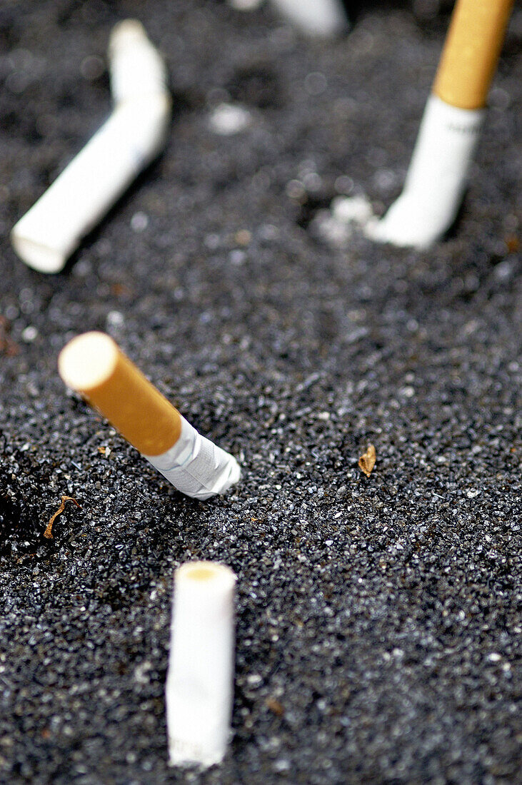  Addiction, Addictions, Butt, Butts, Cigarette, Cigarettes, Close up, Close-up, Closeup, Color, Colour, Concept, Concepts, Contemporary, Detail, Details, Indoor, Indoors, Inside, Interior, Still life, Stub, Stubs, Tobacco, Tobacco abuse, Vertical, F58-253