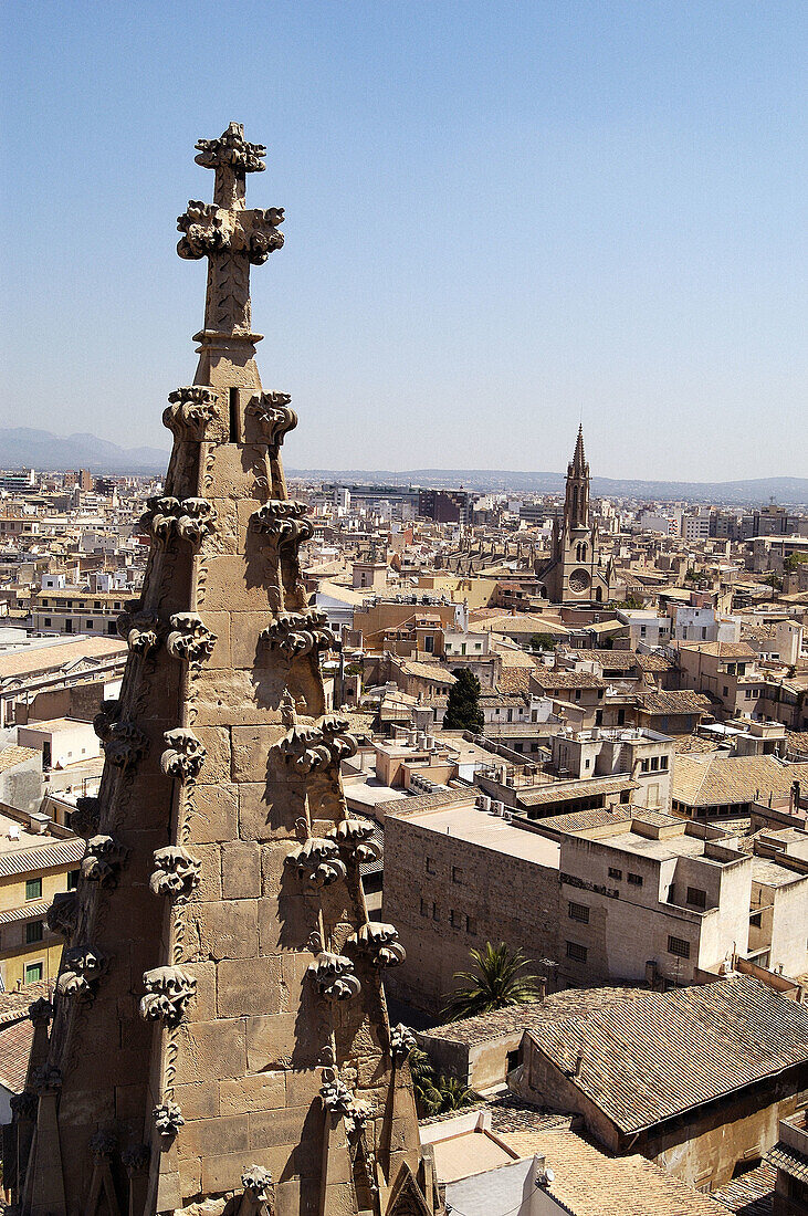 View from Gothic cathedral. Palma de Mallorca. Majorca, Balearic Islands. Spain