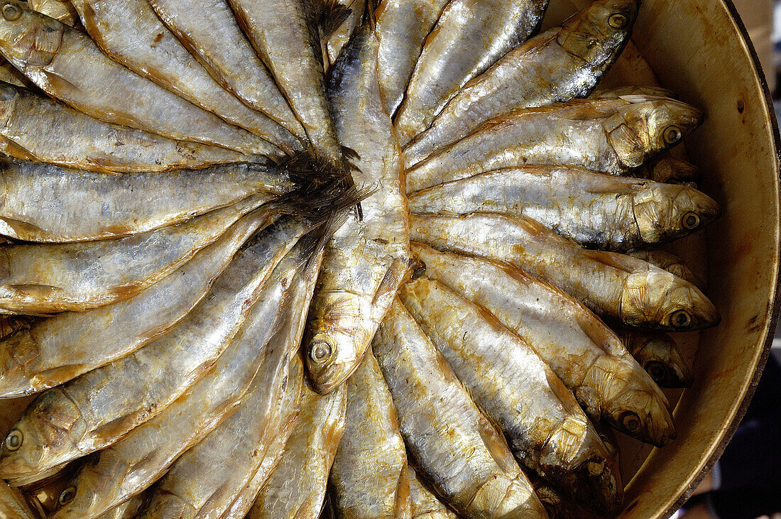 Herring sardines. Majorca. Balearic Islands. Spain