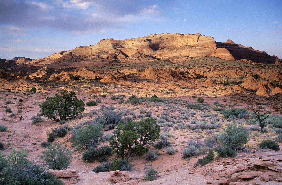 North Coyote Buttes. Paria Canyon-Vermillion Cliffs Wilderness. Arizona-Utah, USA