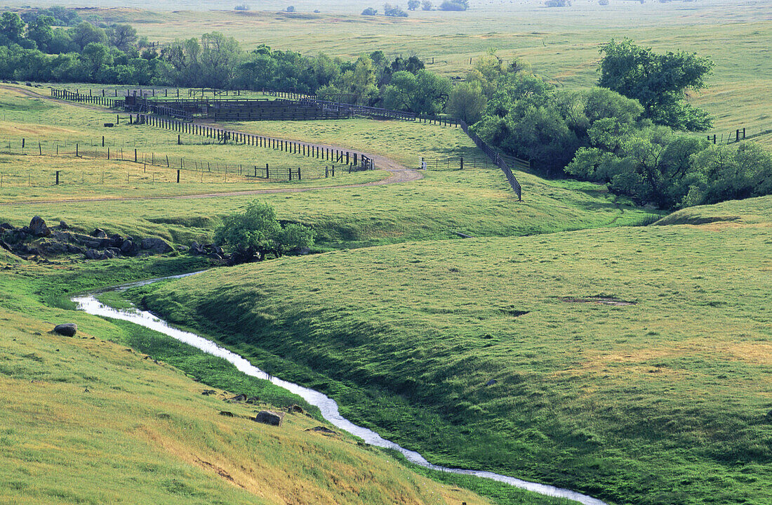 Owens Creek flowing toward Central Valley. Cunningham Ranch. California, USA