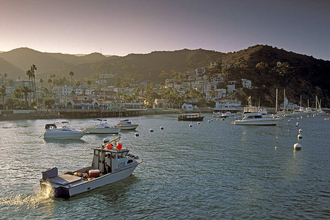 Commercial fishing boat and yachts anchored in Avalon Harbor at sunset. Catalina Island. California. USA