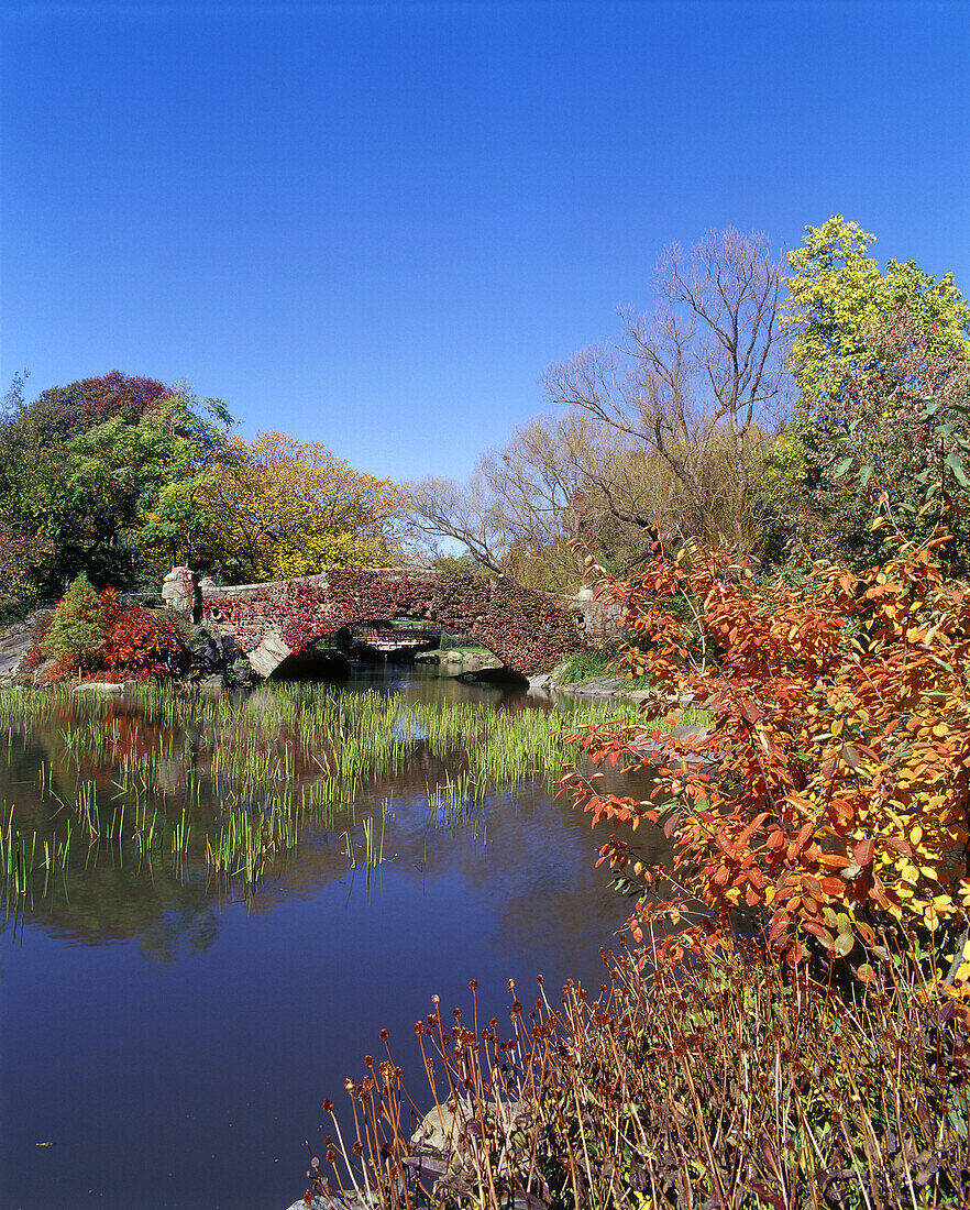 Fall foliage, Capeshaw bridge, Pond, Central park, Manhattan, New York, USA.