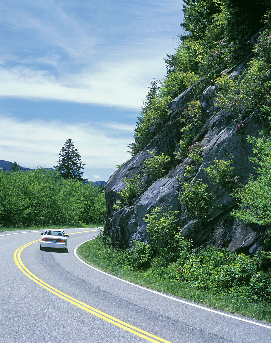 Car, Newfound Gap Road, Great Smoky Mountains National Park, Tennessee, USA