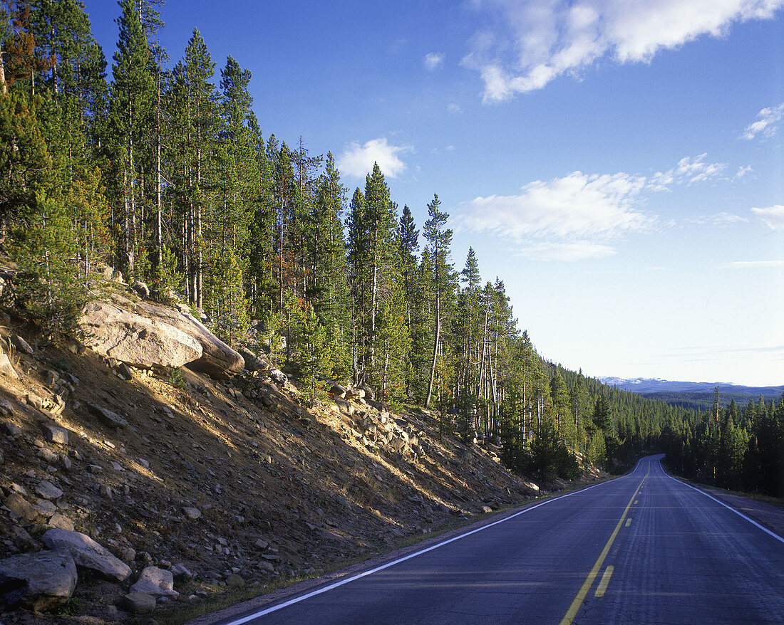  Asphalt, Color, Colour, Concept, Concepts, Country, Country road, Country roads, Countryside, Daytime, Direction, Empty, Exterior, Forest, Forests, Future, Horizon, Horizons, Line, Lines, Nature, Nobody, Outdoor, Outdoors, Outside, Perspective, Positive,