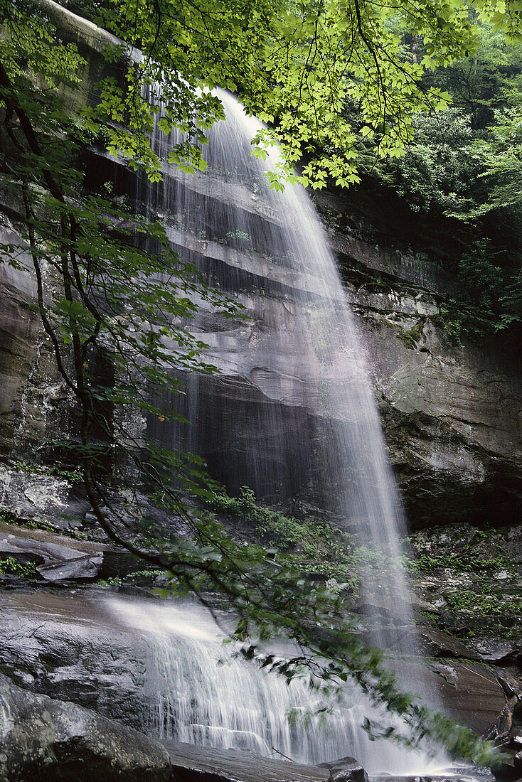 Rainbow Falls. Great Smoky Mountains NP. Tennessee. USA