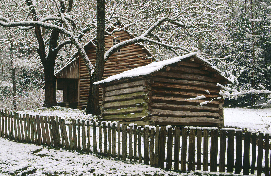 Tipton cabin. Cades Cove. Great Smoky Mountains National Park. Tennessee. USA