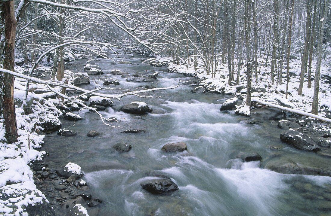 Snowy stream in Greenbriar area. Great Smoky Mountains National Park. Tennessee. USA