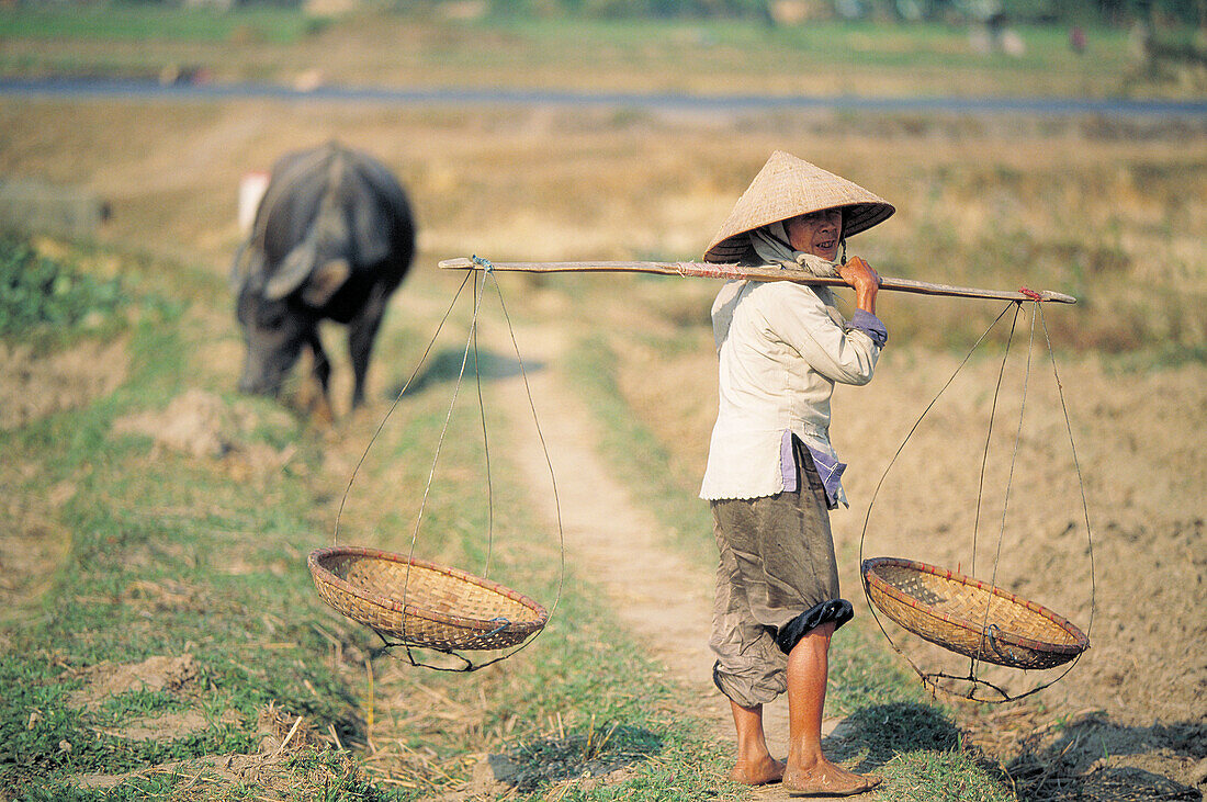 Woman in field. Vietnam