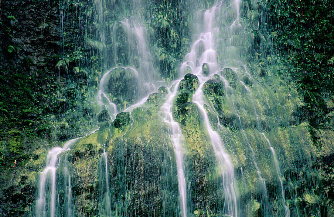 waterfall. North Island. New Zealand