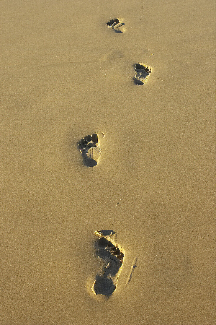 Footprints, Surfers Paradise, Gold Coast, Queensland, Australia